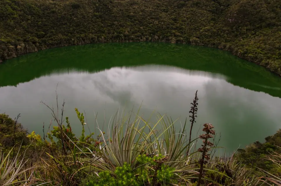 web-fb-YRP_0277-lagune-pflanzenwelt3200