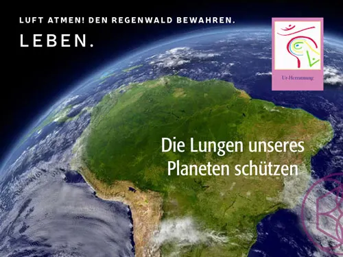 Die Lunge des Regenwaldes Amazonas