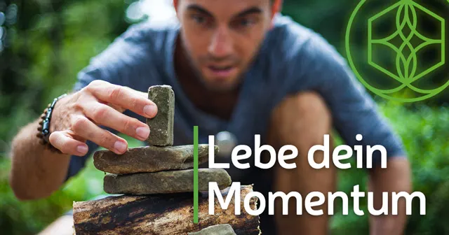 Momentumsenergie nutzen - Gerardo J. Laempe