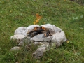yyy-DSC08621_Carmen_Laempe_Trommel