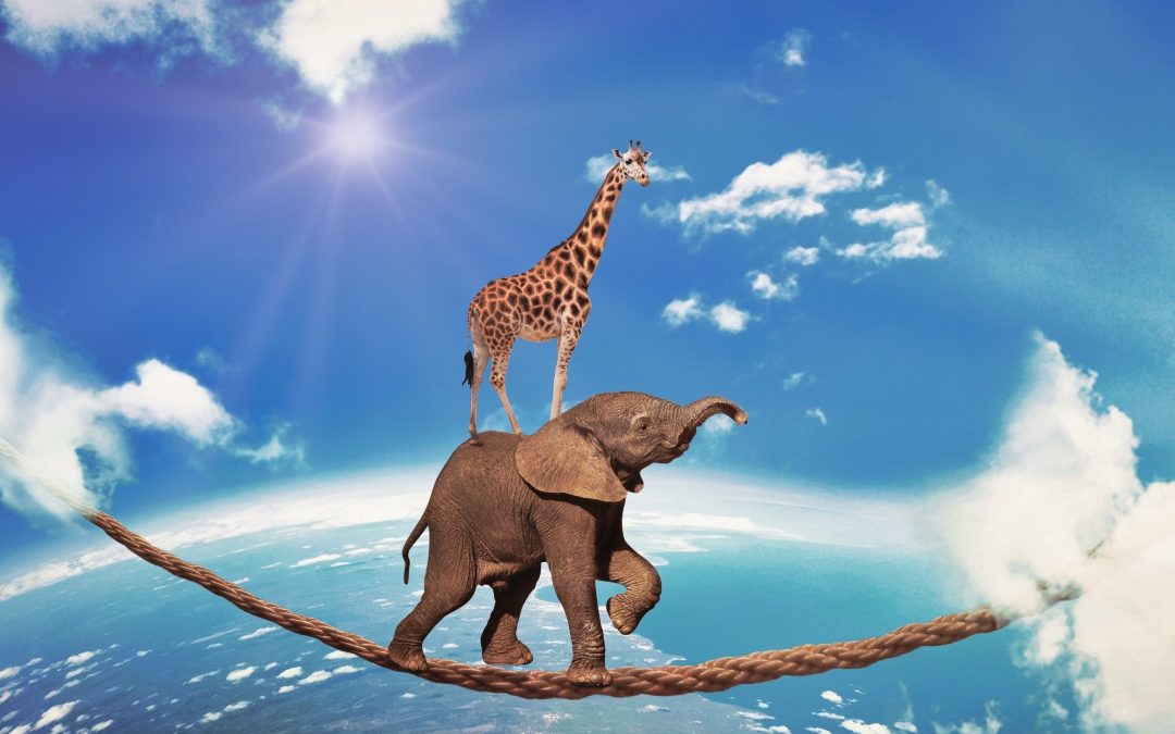 Überwindung von Unsicherheit durch Stärkung des Selbstwerts. Ein Elefant und eine Giraffe balancieren hoch am Himmel auf einem gefährlichen Seil – ein Symbol für das Gleichgewicht und die Überwindung von Ängsten auf dem Weg zum Erfolg. Der junge Unternehmer stärkt sein Selbstwertgefühl und Selbstvertrauen in der anspruchsvollen Geschäftswelt.