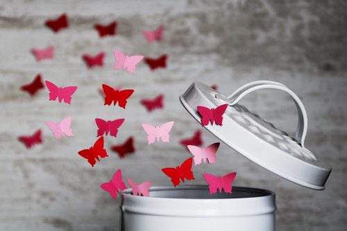 Butterfly 4061336 1920 Butterfly 4061336 1920